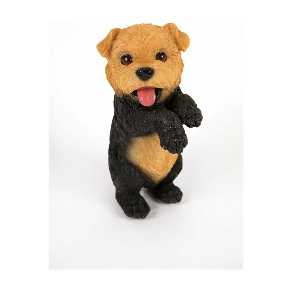 Garden creations ornament Norfolk Terrier Pup (6199070032040)